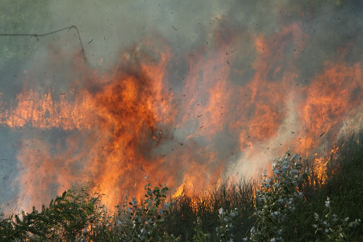 Fehérvár Médiacentrum fotója