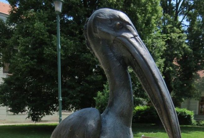 Fehérvár Médiacentrum fotója