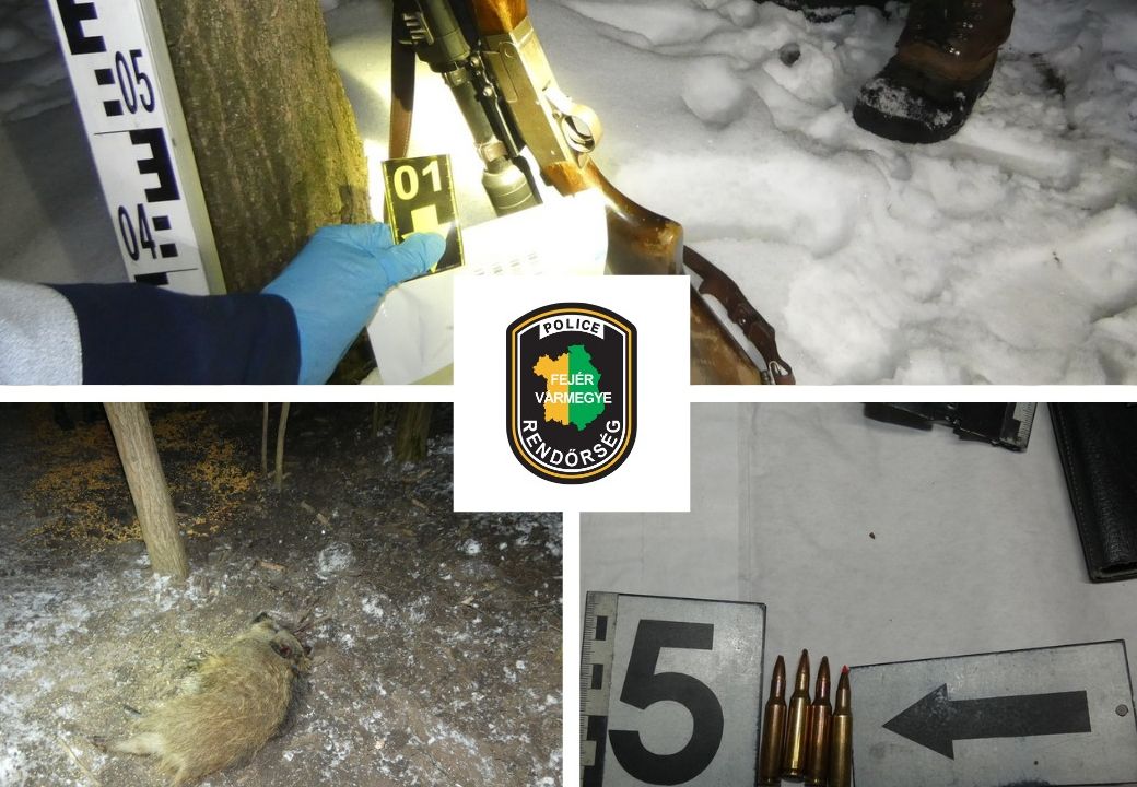 Fehérvár Médiacentrum fotója