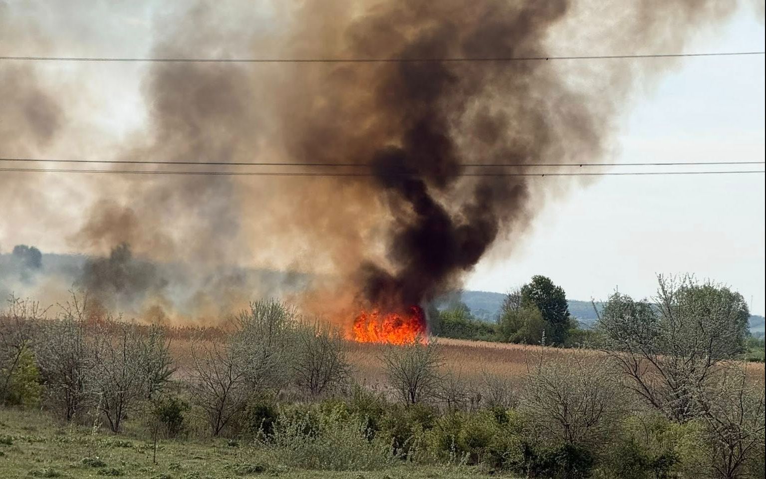 Fehérvár Médiacentrum fotója