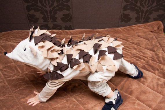 Fehérvár Médiacentrum fotója