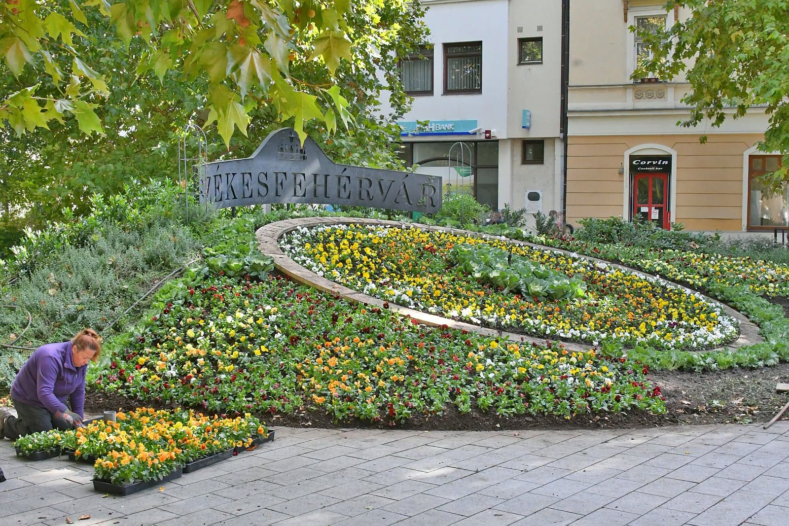 Fehérvár Médiacentrum fotója