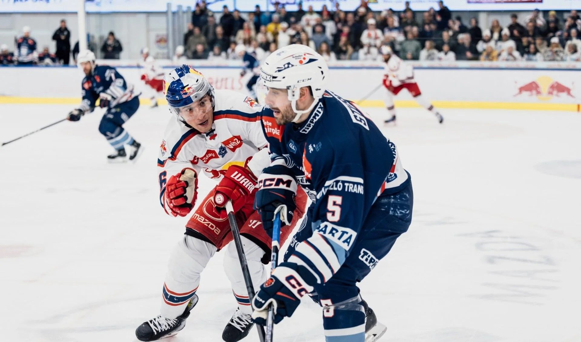 Fehérvár Médiacentrum fotója