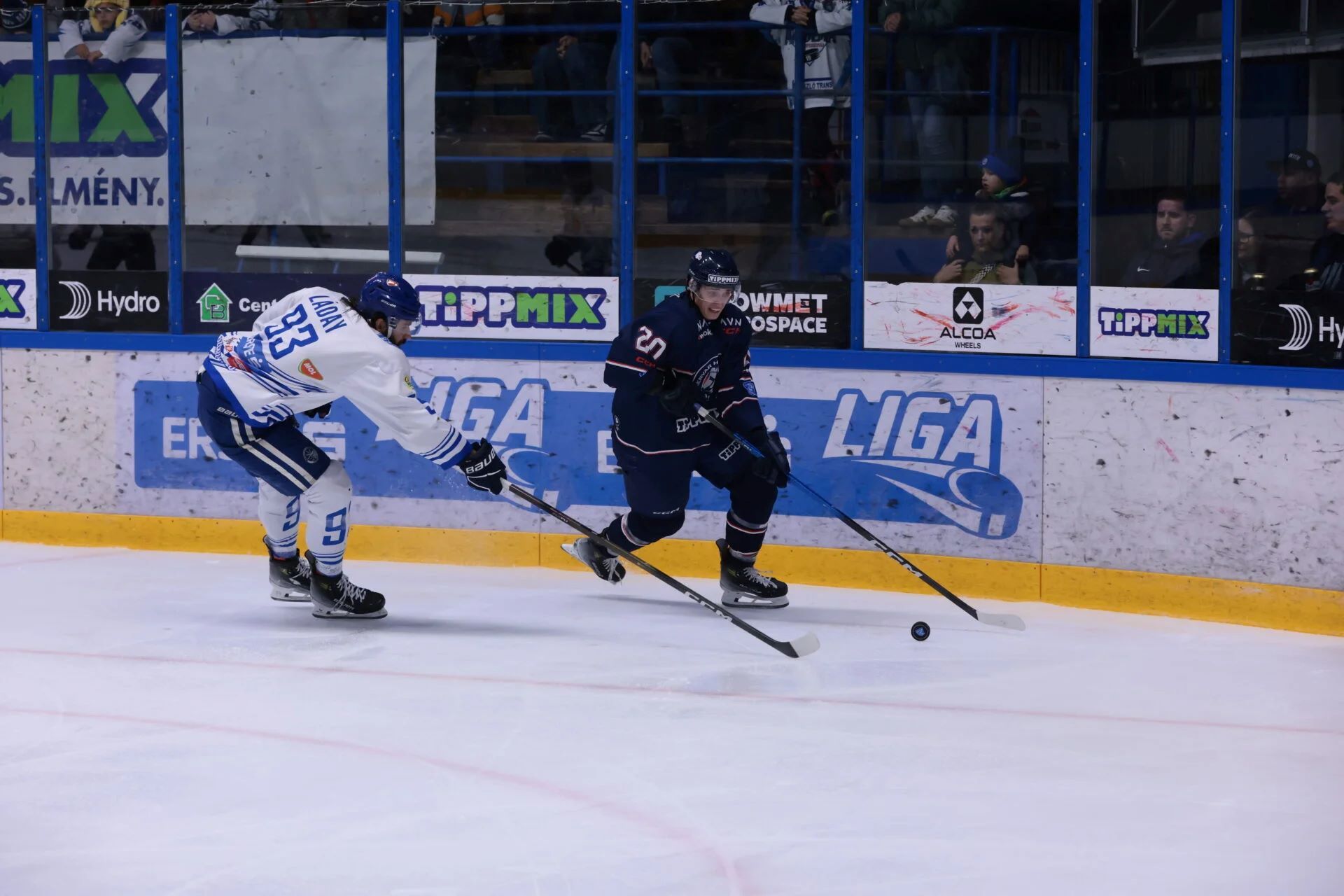 Fehérvár Médiacentrum fotója