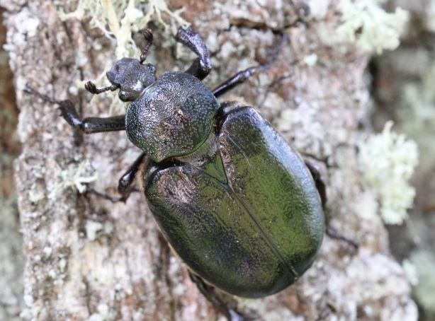 Fehérvár Médiacentrum fotója