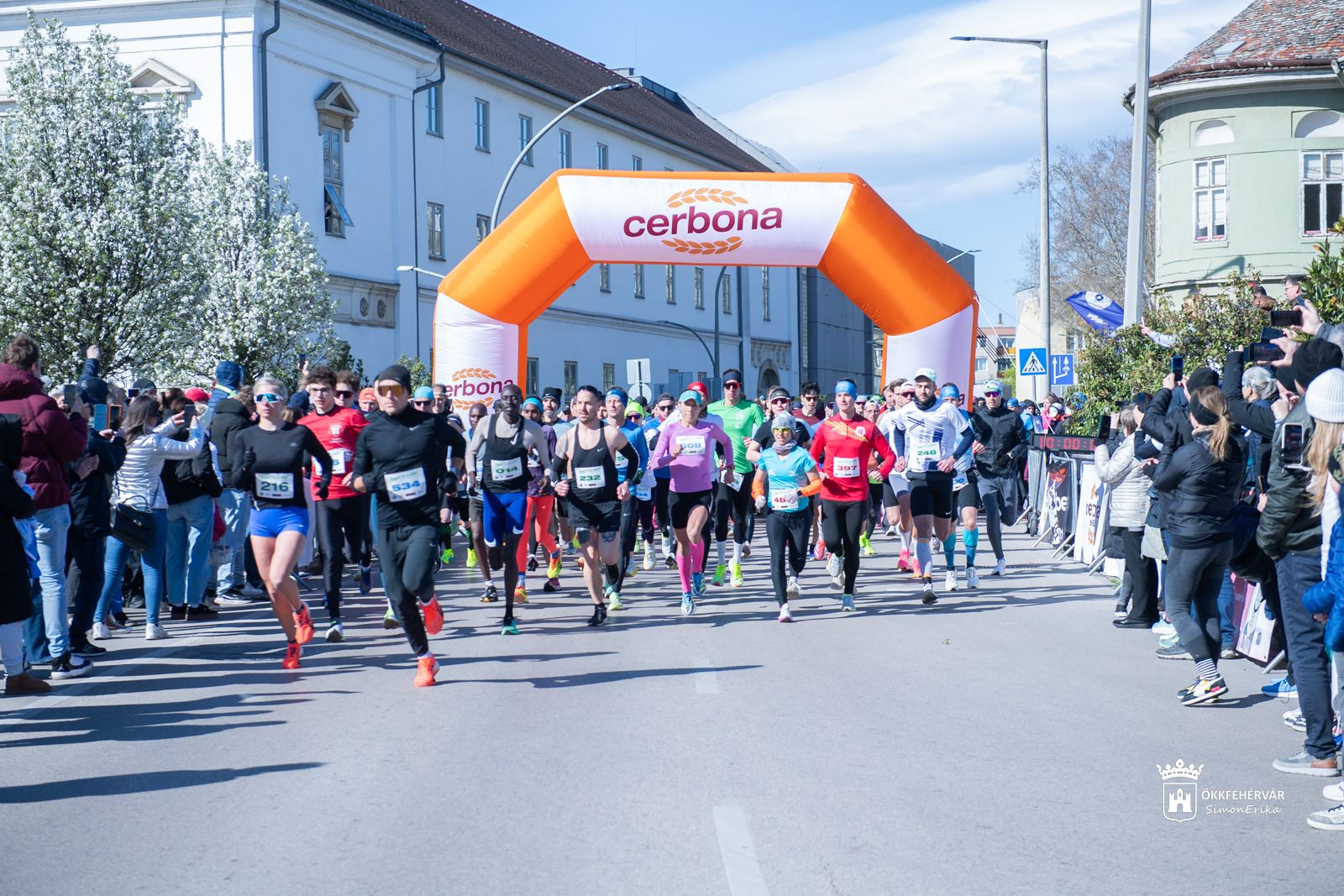Fehérvár Médiacentrum fotója