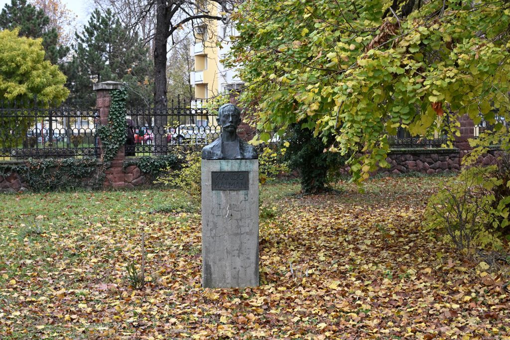 Fehérvár Médiacentrum fotója