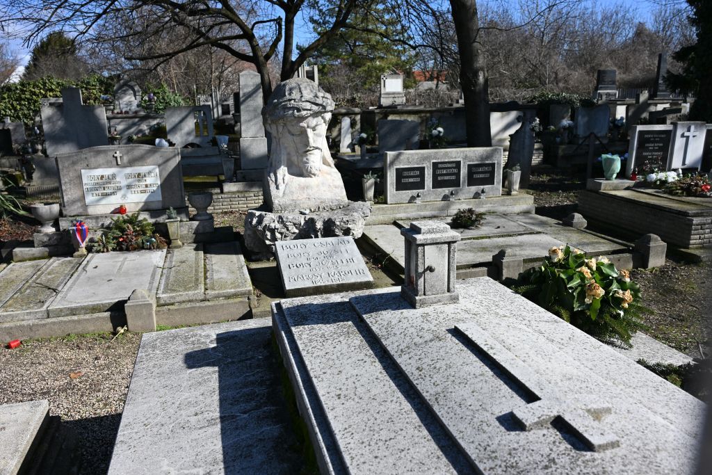 Fehérvár Médiacentrum fotója