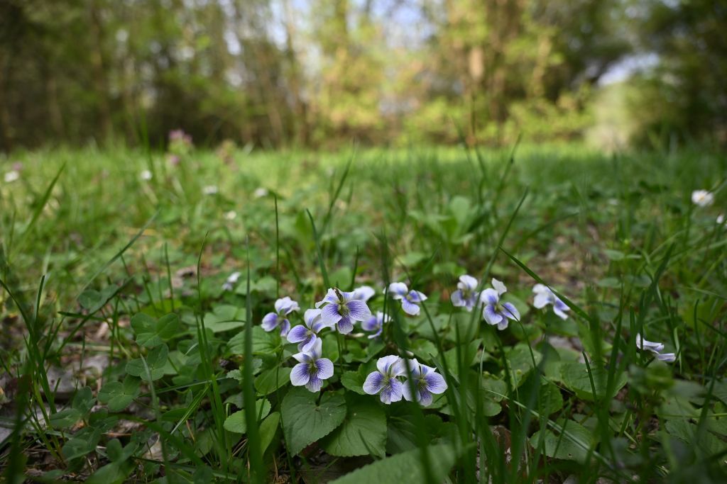 Fehérvár Médiacentrum fotója