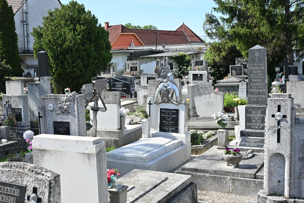 Fehérvár Médiacentrum fotója