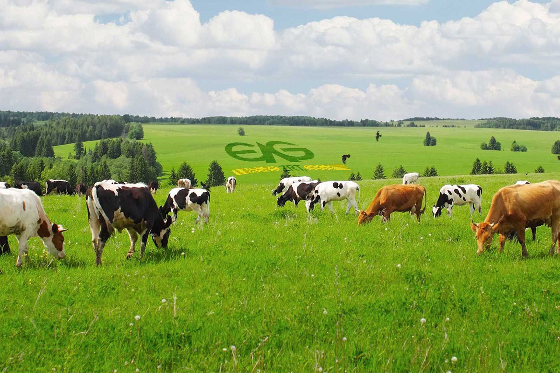 Fehérvár Médiacentrum fotója