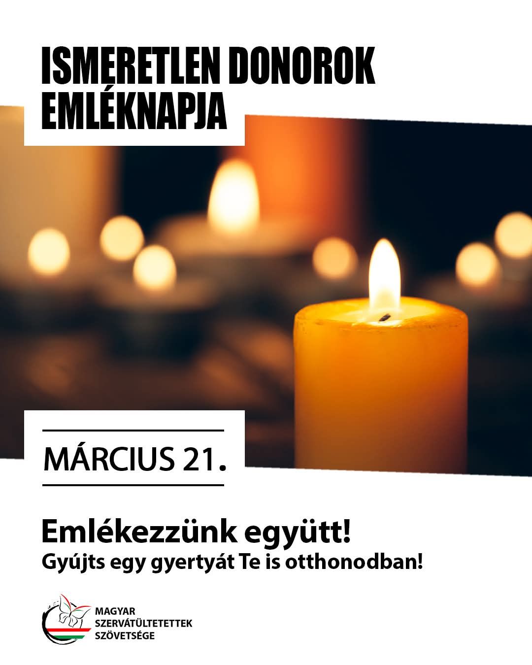 Fehérvár Médiacentrum fotója