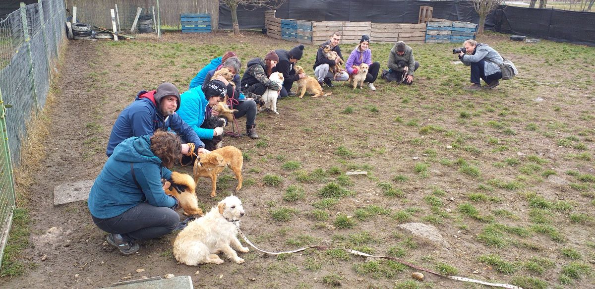 Fehérvár Médiacentrum fotója