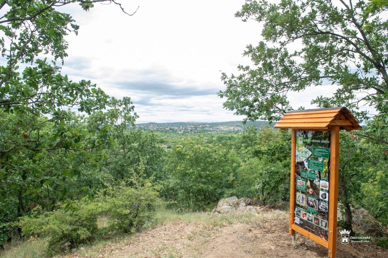Fehérvár Médiacentrum fotója