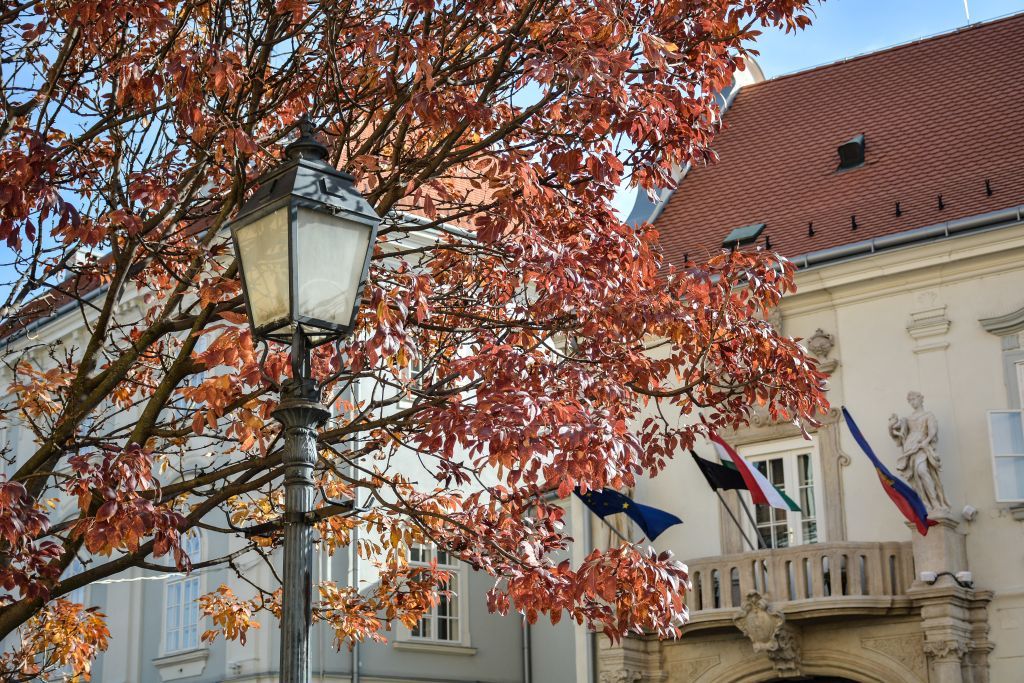 Fehérvár Médiacentrum fotója