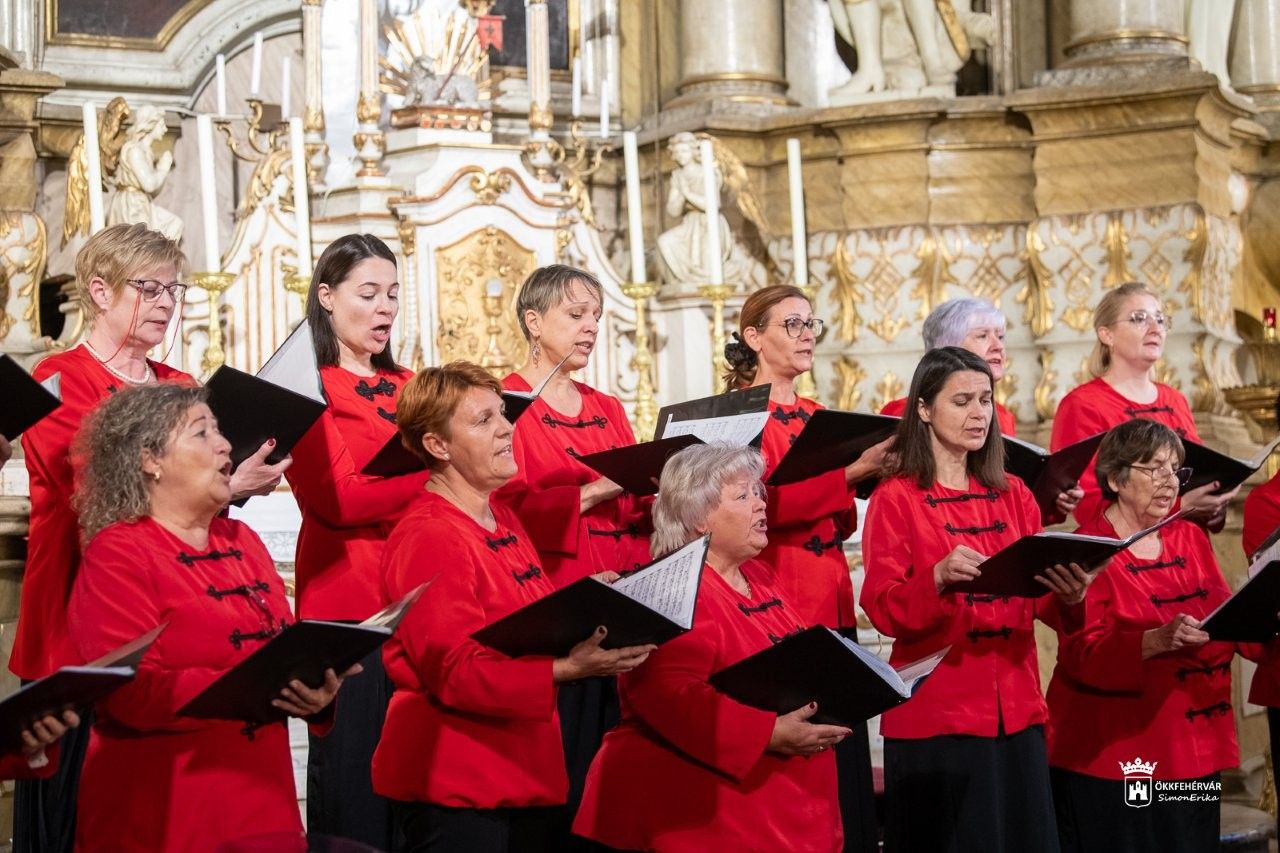 Fehérvár Médiacentrum fotója