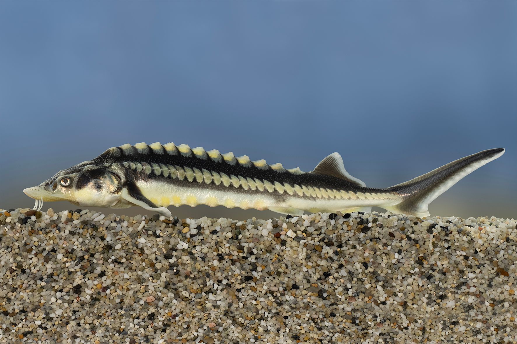 Fehérvár Médiacentrum fotója