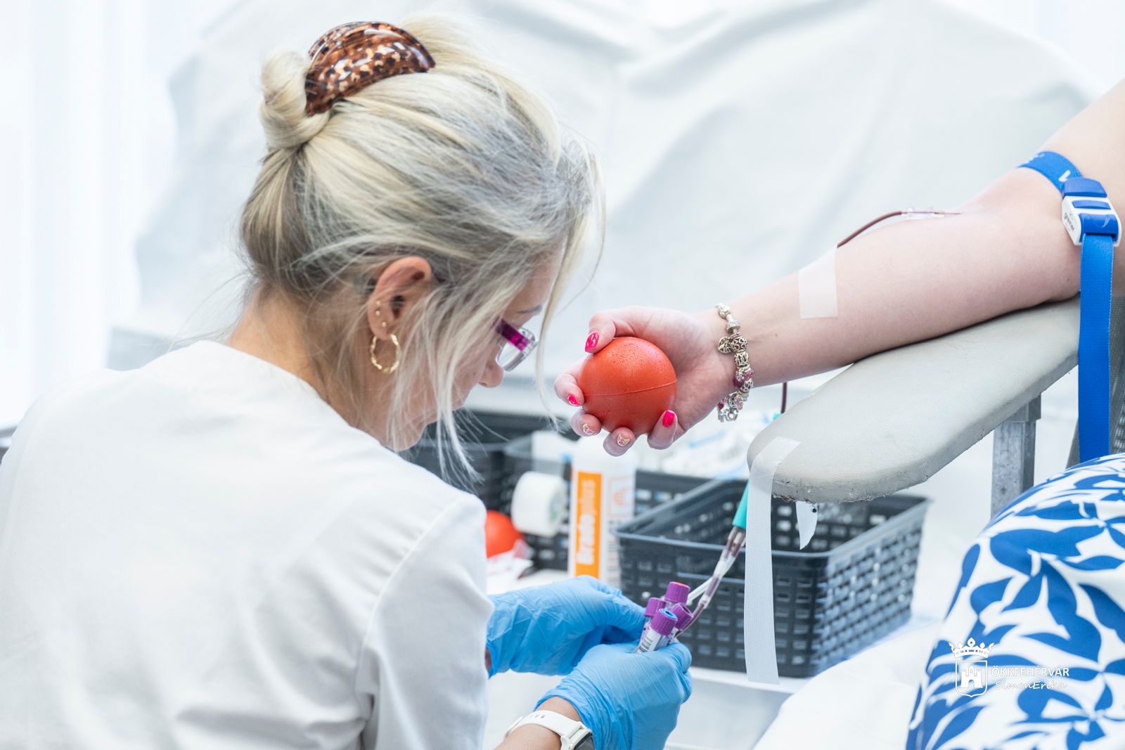 Fehérvár Médiacentrum fotója