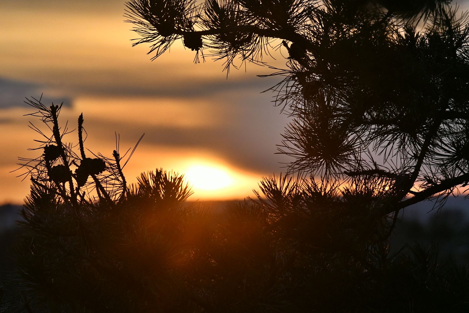 Fehérvár Médiacentrum fotója