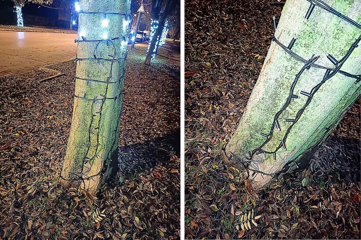 Fehérvár Médiacentrum fotója