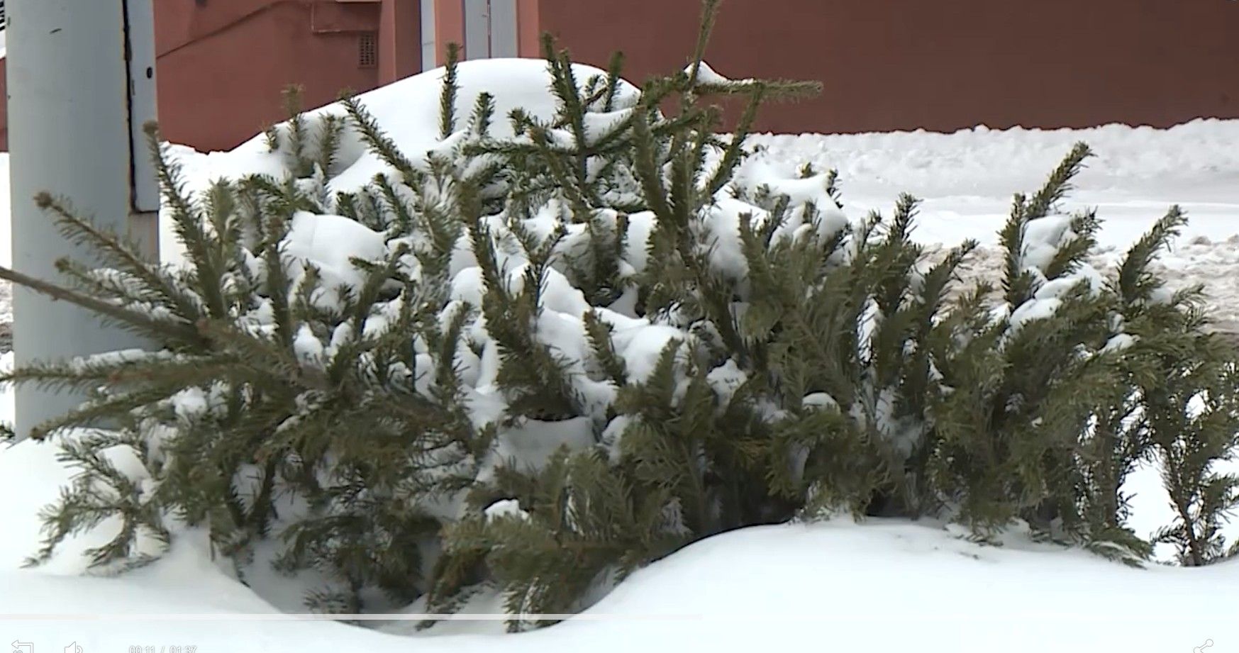 Fehérvár Médiacentrum fotója