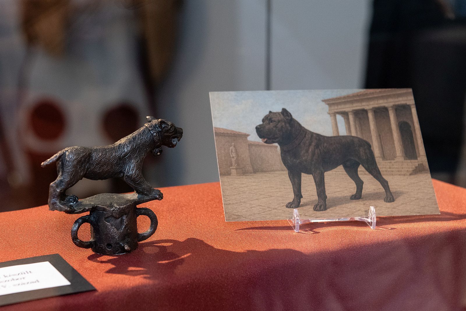 Fehérvár Médiacentrum fotója