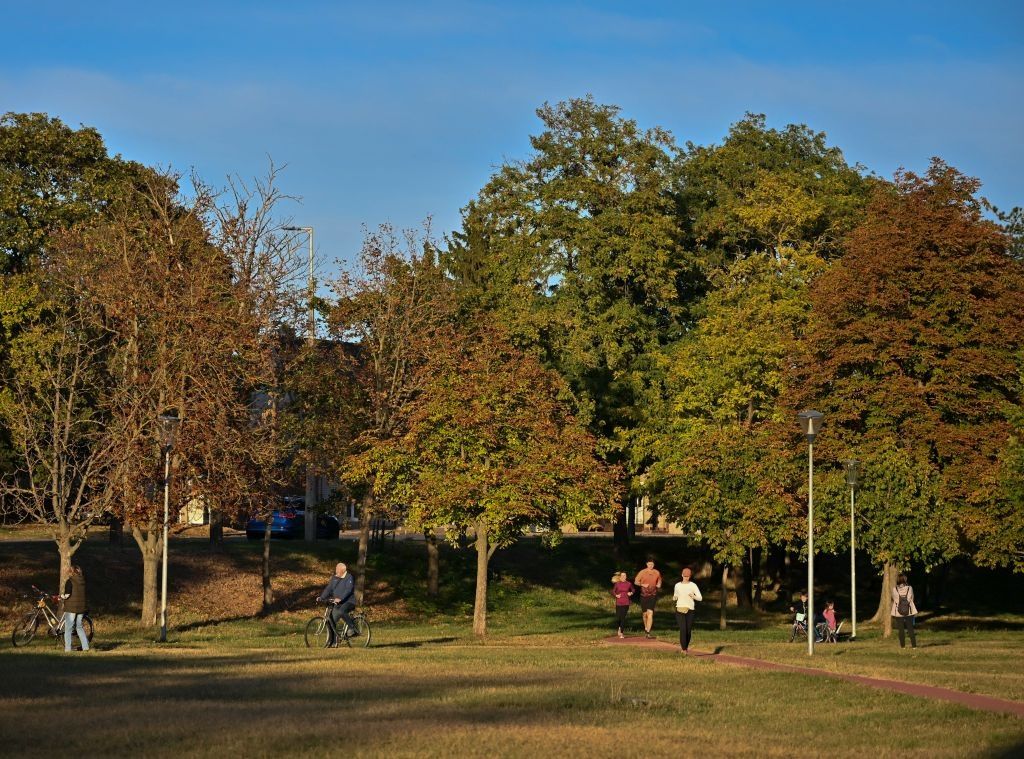 Fehérvár Médiacentrum fotója