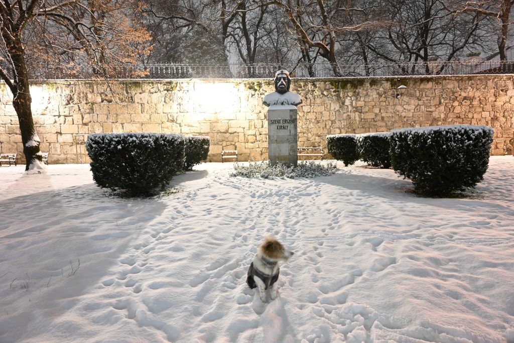 Fehérvár Médiacentrum fotója