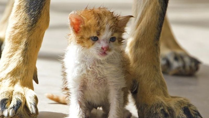 Fehérvár Médiacentrum fotója