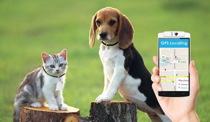 Pet finder. Трекер для животных. Pet Finder трекер. Трекер для животных geozon. GPS-трекер geozon Pet Finder.