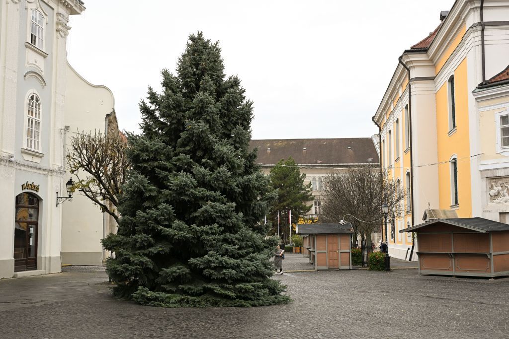 Fehérvár Médiacentrum fotója