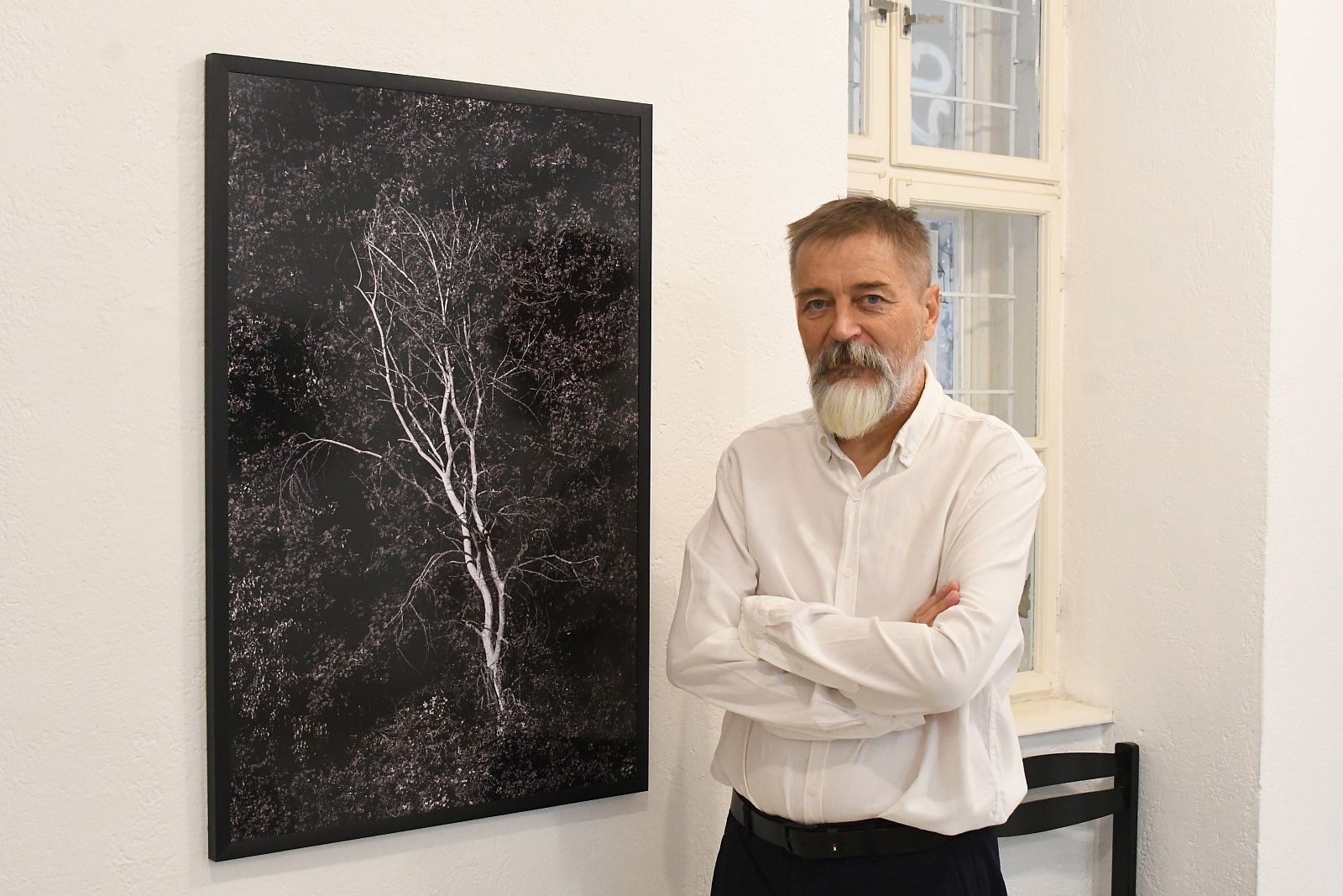 Fehérvár Médiacentrum fotója