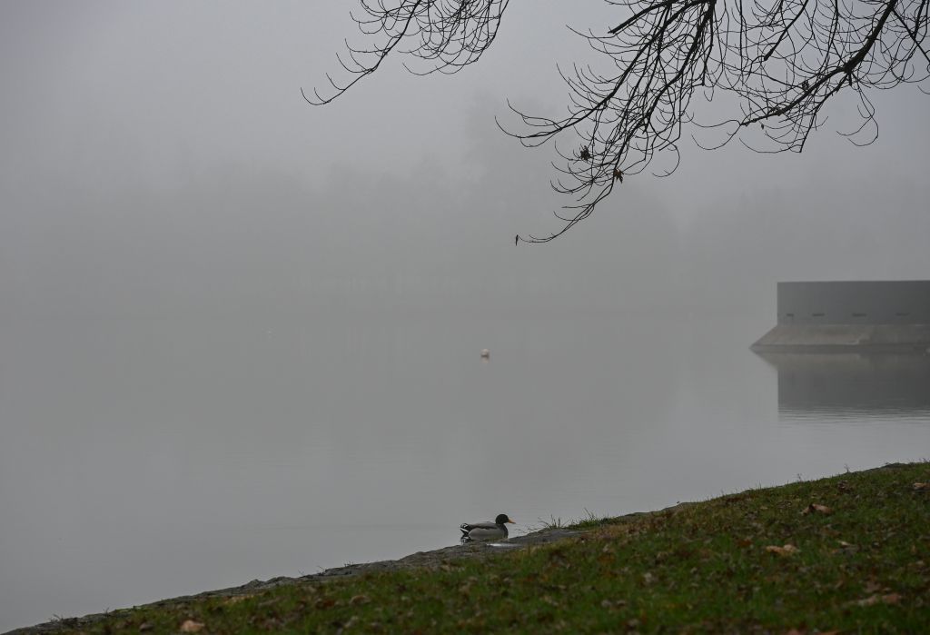 Fehérvár Médiacentrum fotója