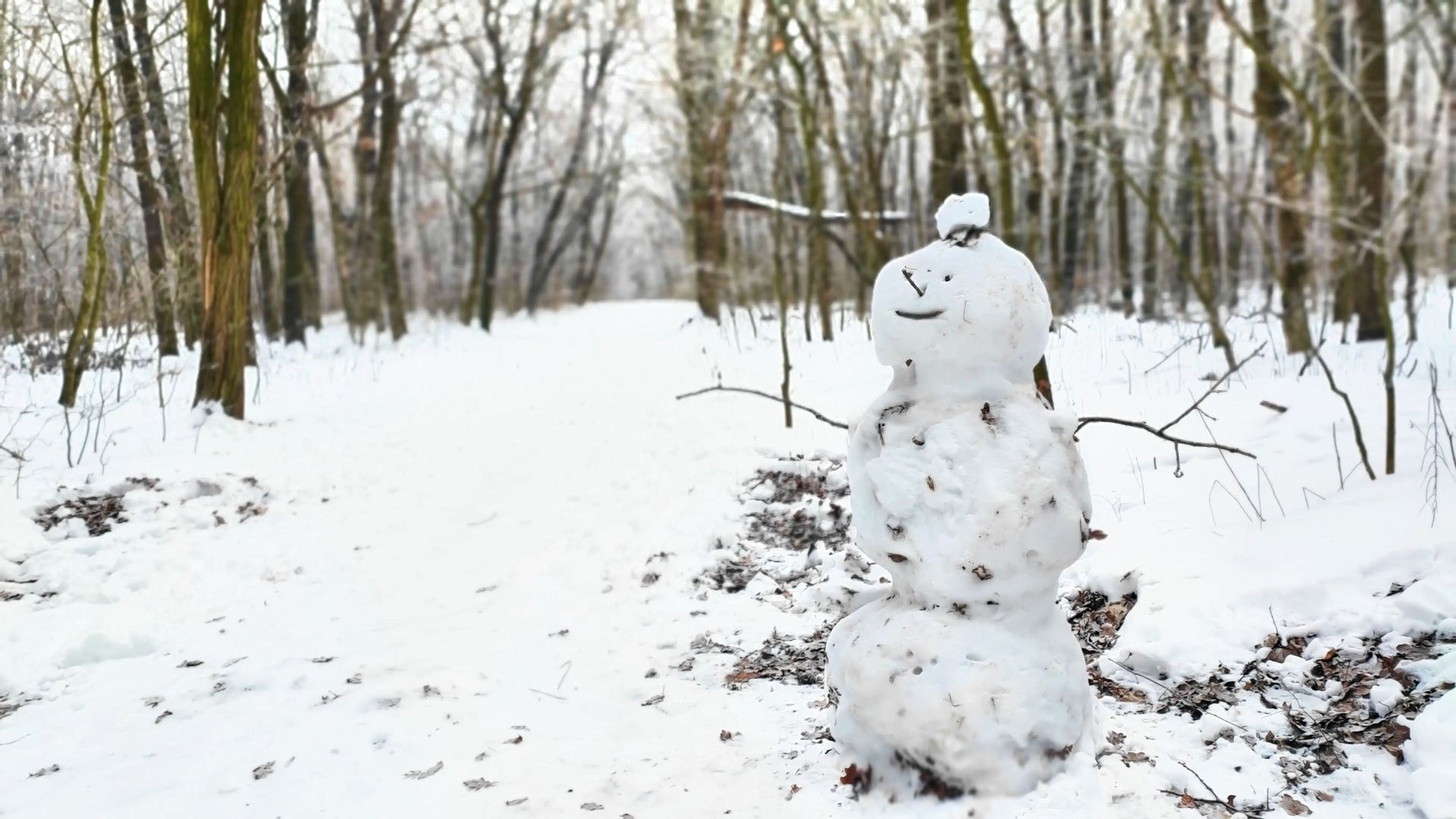 Fehérvár Médiacentrum fotója