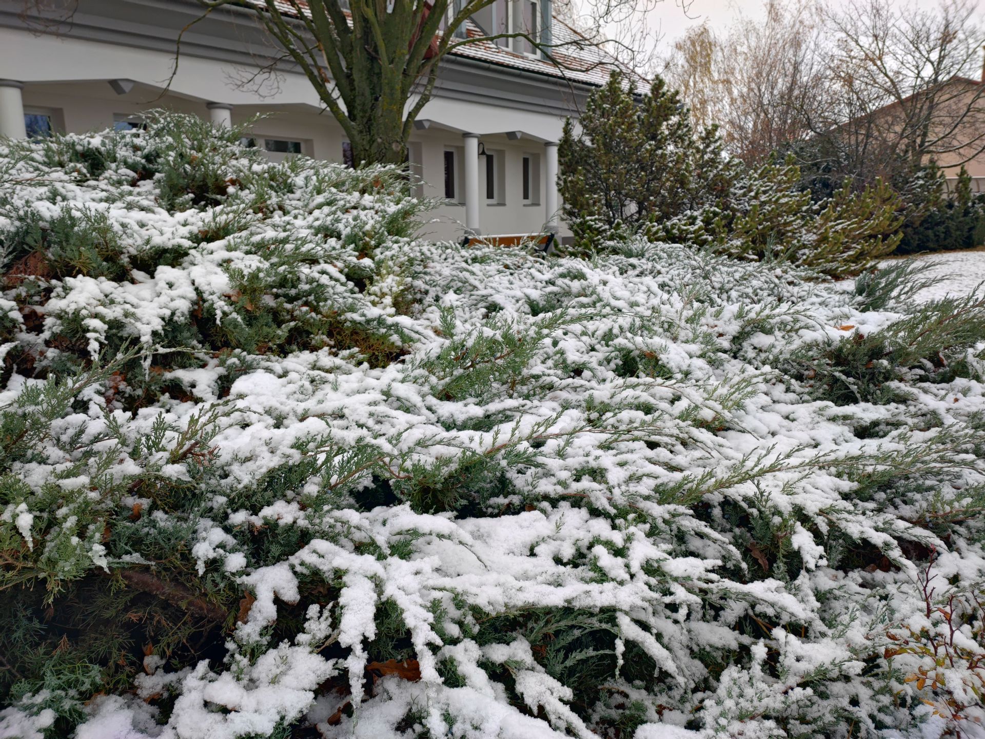 Fehérvár Médiacentrum fotója