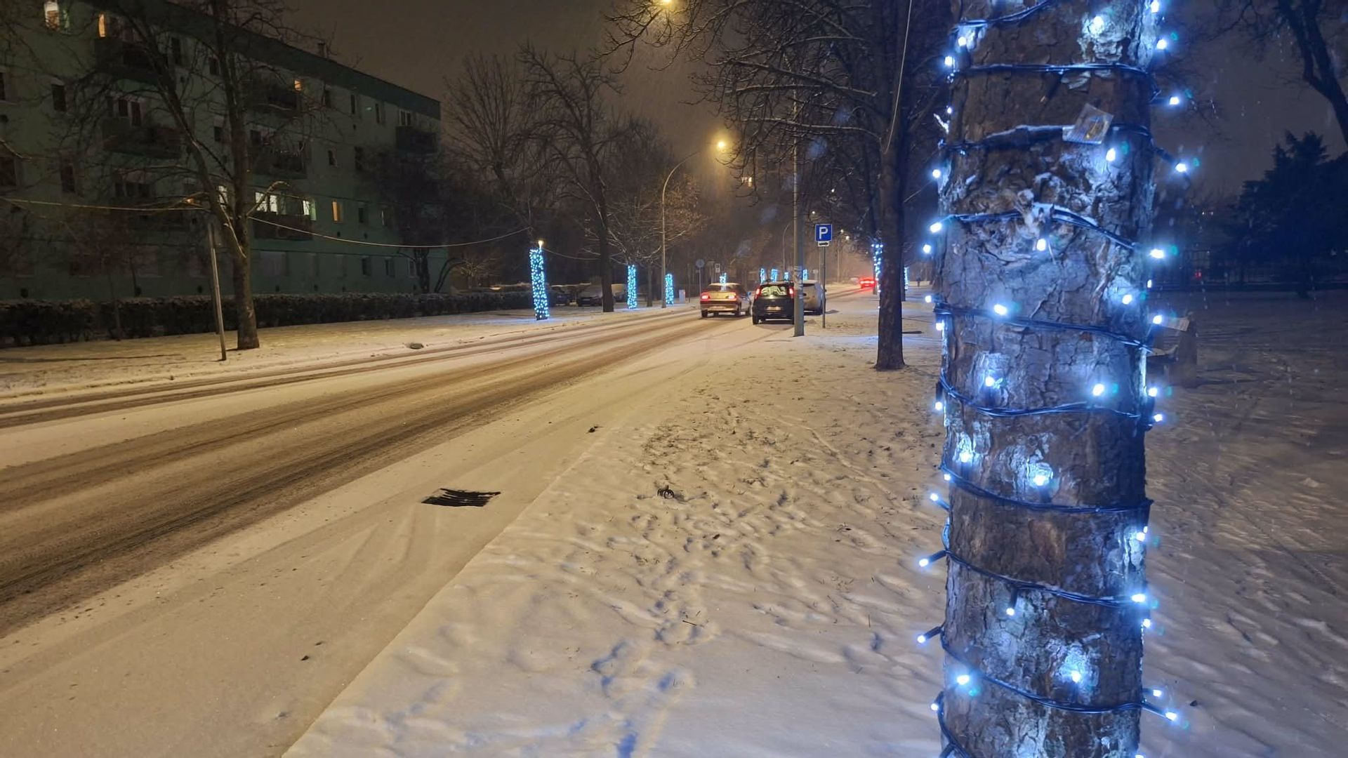 Fehérvár Médiacentrum fotója