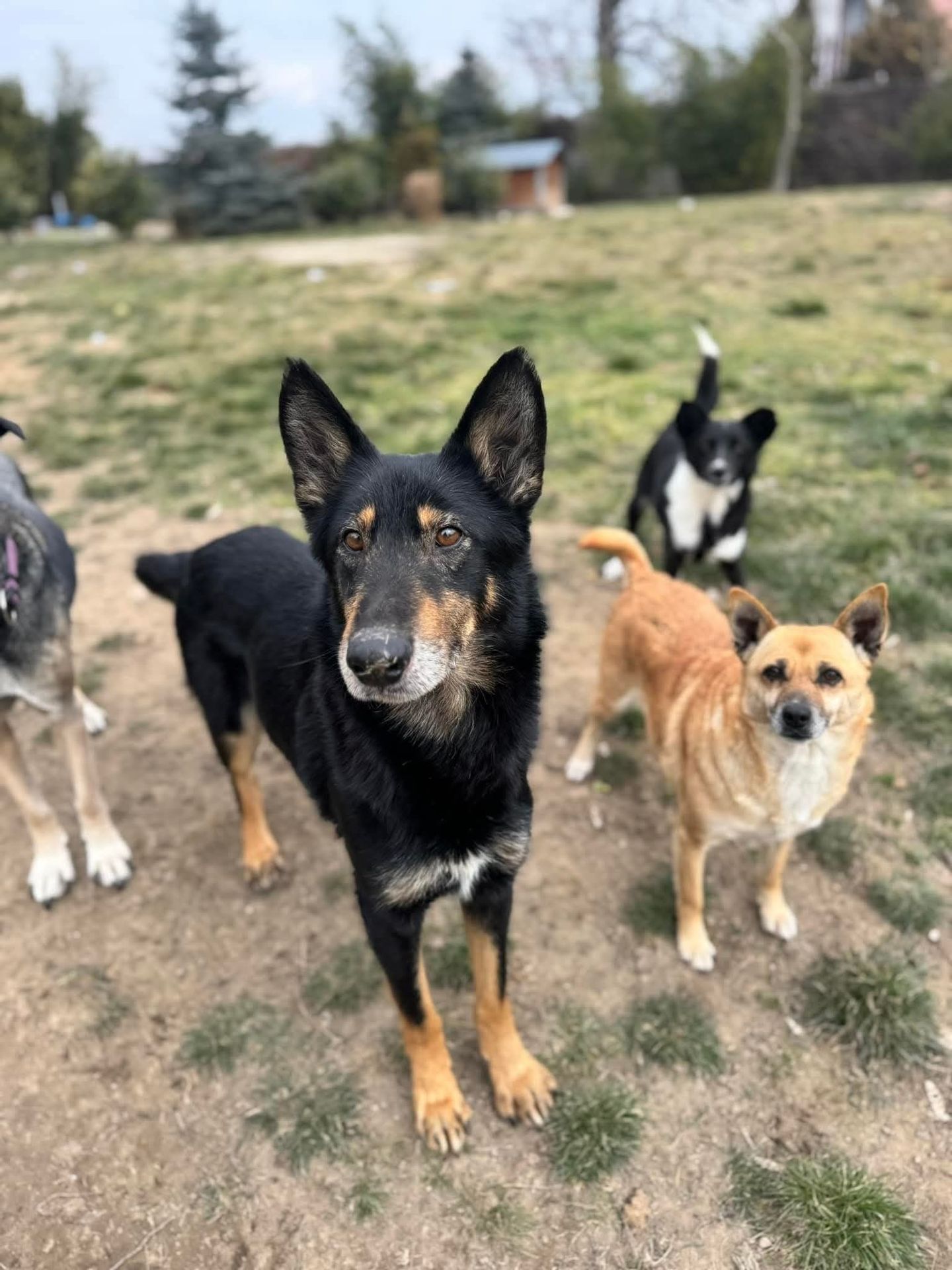 Fehérvár Médiacentrum fotója