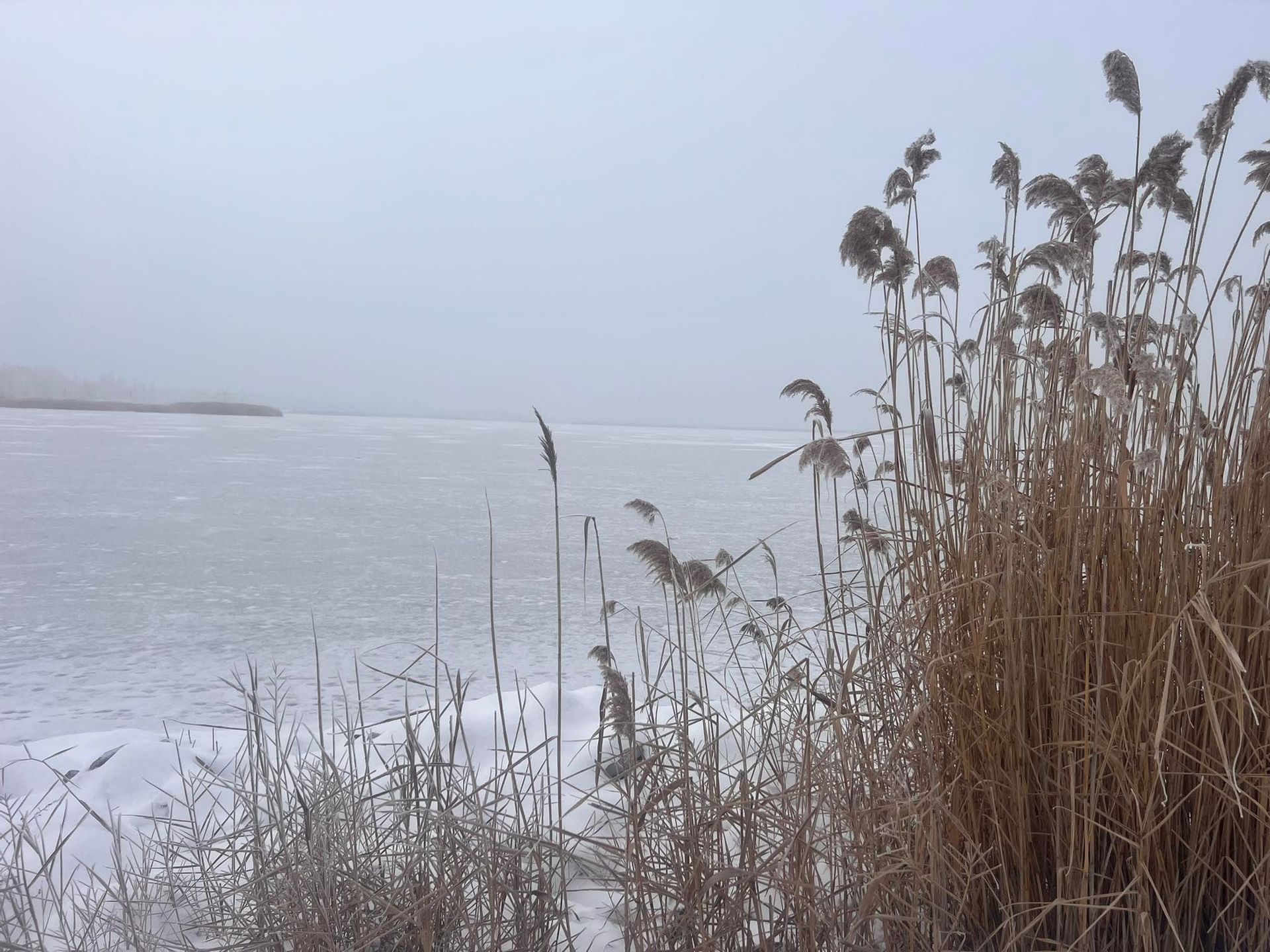 Fehérvár Médiacentrum fotója