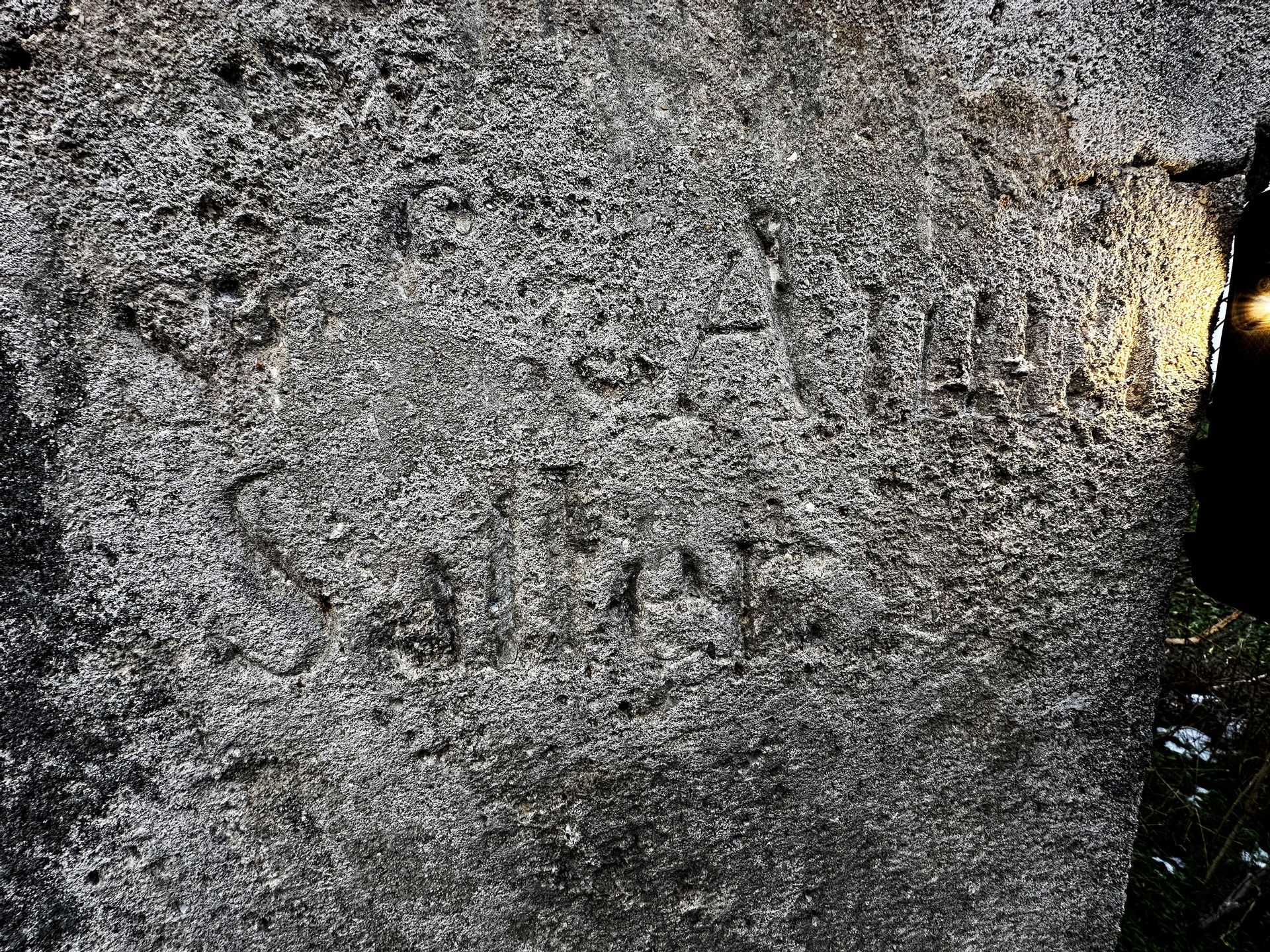 Fehérvár Médiacentrum fotója