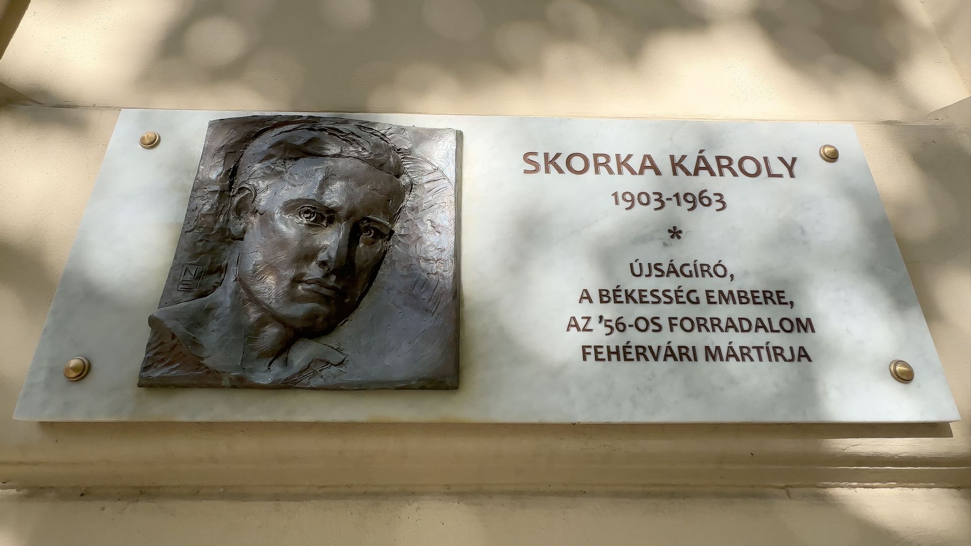 Fehérvár Médiacentrum fotója