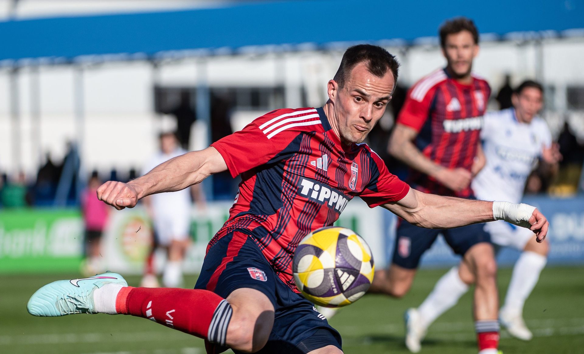 Fehérvár Médiacentrum fotója