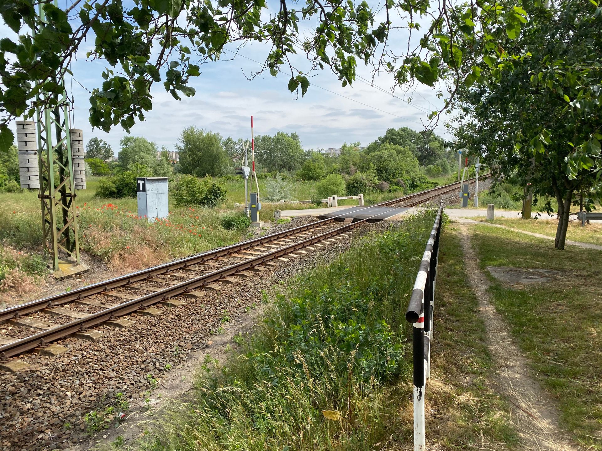 Fehérvár Médiacentrum fotója