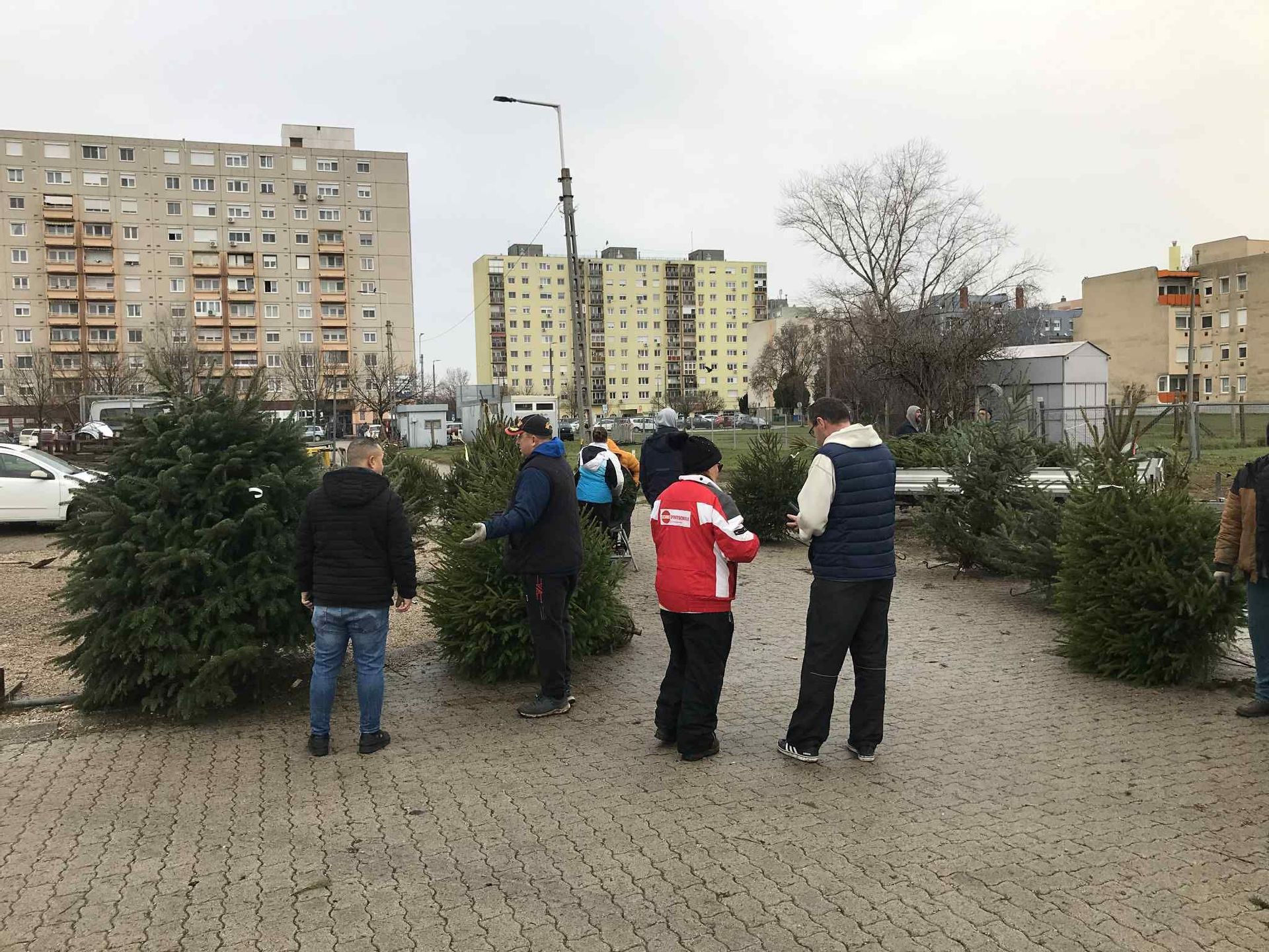 Fehérvár Médiacentrum fotója