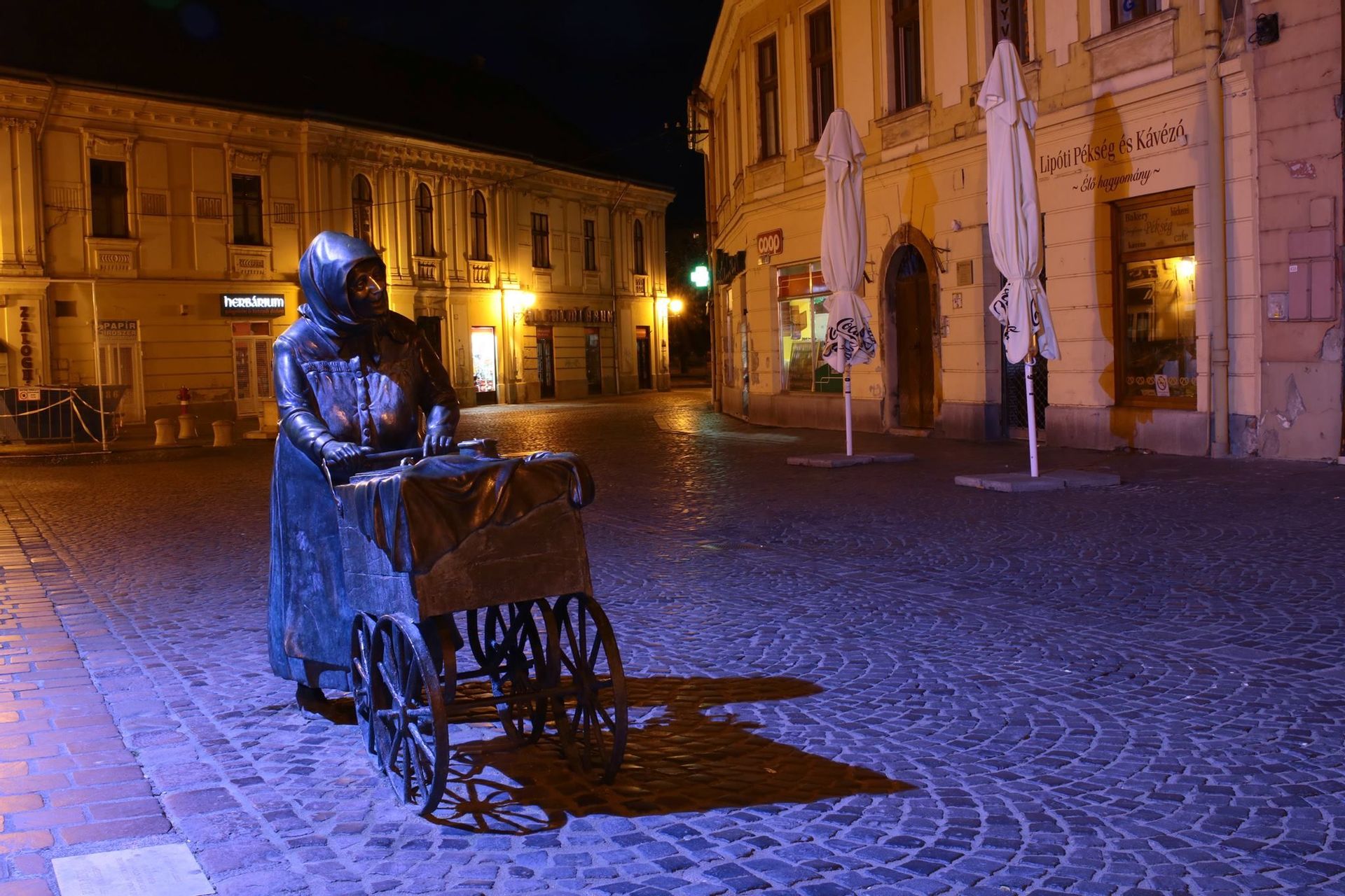 Fehérvár Médiacentrum fotója