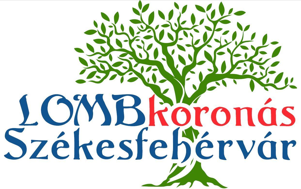 Fehérvár Médiacentrum fotója
