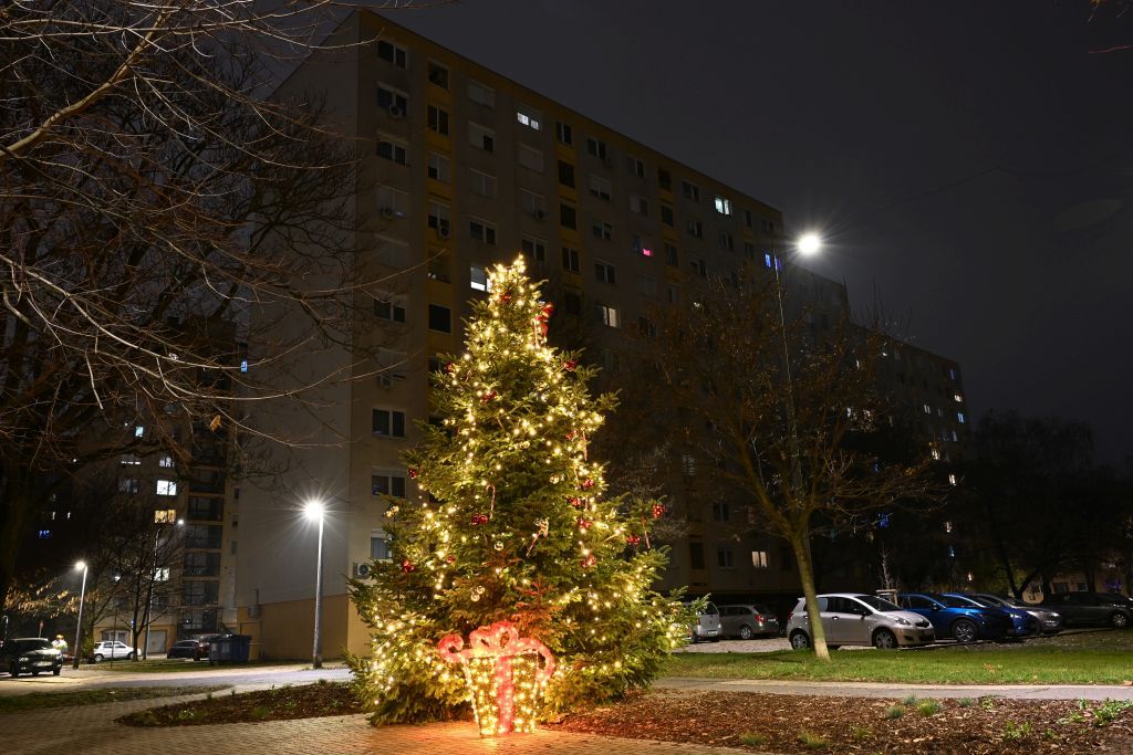 Fehérvár Médiacentrum fotója