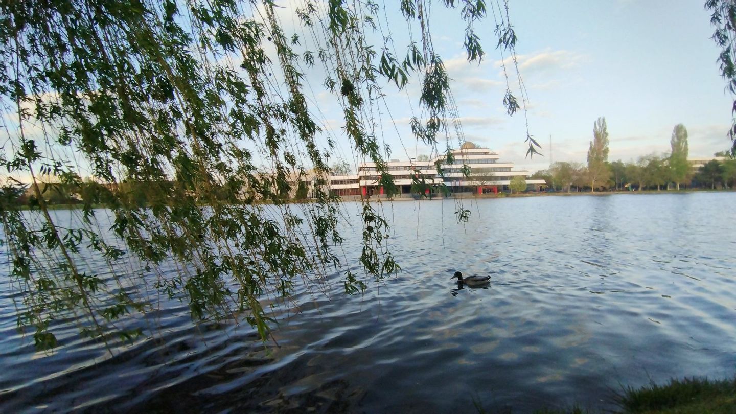 Fehérvár Médiacentrum fotója