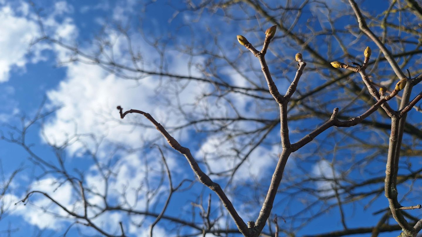 Fehérvár Médiacentrum fotója