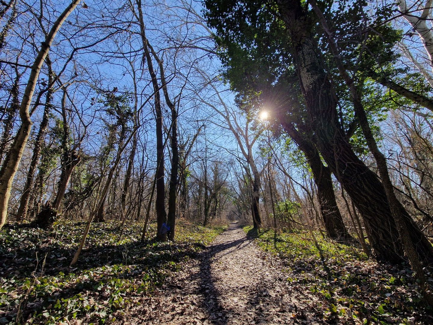 Fehérvár Médiacentrum fotója