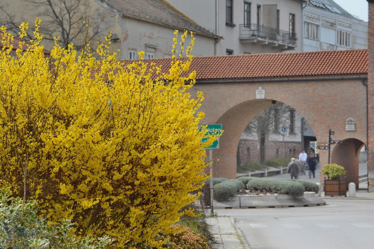 Fehérvár Médiacentrum fotója